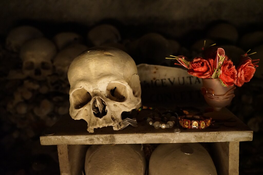 Macbeth-inspired theatrical composition with a skull and red roses
